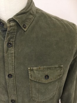 JEREMIAH, Olive Green, Cotton, Solid, Corduroy, Button Front, Collar Attached, Button Down Collar, Long Sleeves, 2 Flap Pockets