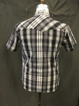 LEVI'S, Black, White, Gray, Cotton, Polyester, Plaid, Snap Front, Collar Attached, Western Yoke, 2 Flap Pockets, Short Sleeves