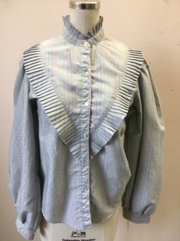 OAK HILL, Lt Gray, Silver, Multi-color, Polyester, Cotton, Dots, Stripes - Vertical , Button Front, Long Sleeves, Collar Band with Knife Pleat Ruffle, Knife Pleat Ruffle Bib, Multicolor Pinstripes with Silvery Diamond Shaped Dot Pattern