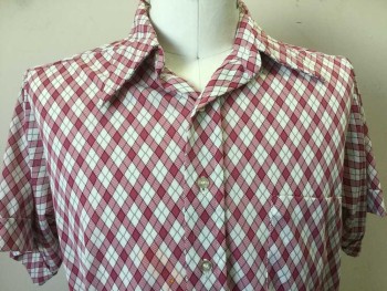 McGREGOR, White, Raspberry Pink, Pink, Gray, Black, Polyester, Diamonds, Collar Attached, Button Front, 1 Pocket, Short Sleeves W/cuffs (2 Little Holes in Near- Front Center