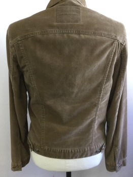 LEVI'S, Lt Brown, Cotton, Solid, Corduroy, Button Front, 4 Pockets, Long Sleeves, Collar Attached, Back Waist Button Tabs