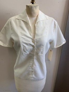 THE PILOT BLOUSE , Cream, Polyester, Text, Wing Lapel, Button Front, Placket, Cuffed Sleeves