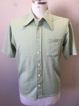 N/L, Mint Green, Cream, Navy Blue, Polyester, Dots, Geometric, Mint W/cream Circle W/navy Dot in the Middle Print, Collar Attached, Cream Button Front, 1 Pocket, Short Sleeves,