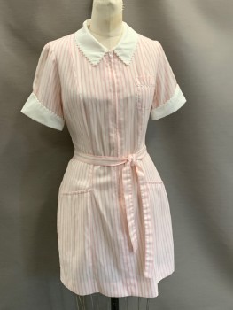 WHITE SWAN, White, Pink, Polyester, Cotton, Stripes - Vertical , Solid, Uniform, C.A., S/S, Solid Collar & Cuffs with Scallopped Edge Trim, Zip Front, 3 Pckts, Hem Above Knee, with Belt