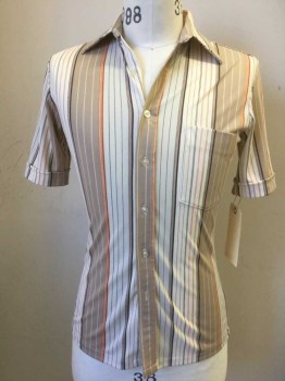 P GERRARD, White, Lt Brown, Dk Brown, Rust Orange, Polyester, Stripes - Vertical , Short Sleeves, Button Front, Collar Attached, 1 Pocket, Cuffed Sleeves, Stretchy
