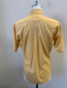 Mens, Shirt, TRUVAL, Mustard Yellow, Polyester, Cotton, Solid, N 15, Button Front, Button Down Collar, Short Sleeves, 1 Pocket,
