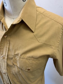 Mens, Western Shirt, RESISTOL, Tan Brown, Poly/Cotton, Solid, S, S/S, Chest Pockets with Flaps, Amber Pearl Snap Front