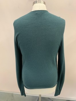 Mens, Pullover Sweater, PIATELLI, Teal Green, Wool, Solid, L, L/S, CN