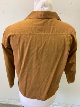 Womens, Blouse, QUEEN CASUALS , Camel Brown, Cotton, Solid, B: 38", L/S, C.A., Button Front, Sharkskin, Darts