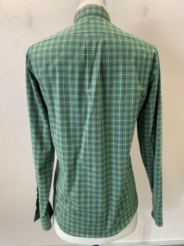 Mens, Casual Shirt, J.CREW, Dusty Green, White, Navy Blue, Cotton, Elastane, Plaid - Tattersall, S, L/S, Button Front, C.A., Button Down Collar, 1 Pocket