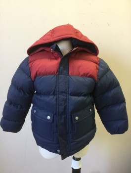 PETIT BATEAU, Navy Blue, Maroon Red, Polyamide, Solid, Color Blocking, Puffer Jacket, Navy with Maroon at Shoulders, Zip and Snap Front, Hooded, 2 Pockets with Snap Closures