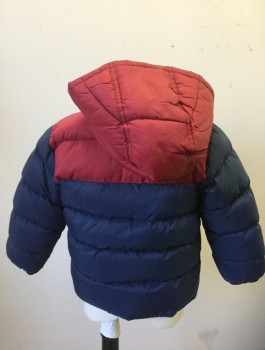 PETIT BATEAU, Navy Blue, Maroon Red, Polyamide, Solid, Color Blocking, Puffer Jacket, Navy with Maroon at Shoulders, Zip and Snap Front, Hooded, 2 Pockets with Snap Closures