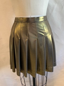 NL, Gold, Polyester, Fit & Flare, Pleated Skirt, Zip Back