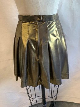 NL, Gold, Polyester, Fit & Flare, Pleated Skirt, Zip Back