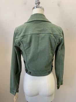 GUESS, Olive Green, Cotton, Faded, Reptile/Snakeskin, Button Front, Cropped, 2 Pockets, Collar Attached,