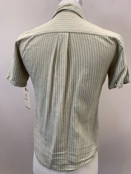 DA VINCI, Khaki Brown, Off White, Cotton, Stripes - Vertical , S/S, B/F, 1 Pocket, C.A., Stain CF