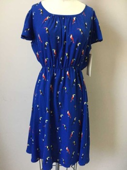 Womens, Dress, Short Sleeve, N/L, Royal Blue, Multi-color, Rayon, Novelty Pattern, S/M, Round Neck with Gathers At Front Neck, Flutter Cap Sleeves, Elastic, Knee Length