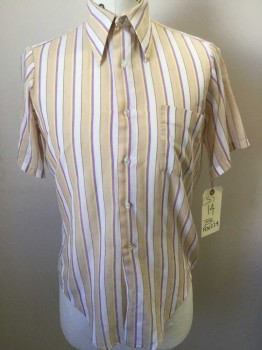 N/L, Beige, Lavender Purple, Lt Yellow, White, Polyester, Cotton, Stripes - Vertical , Button Front, Short Sleeves, 1 Pocket, Sheer
