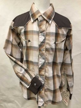 ROPER, Dk Brown, Brown, Beige, Gray, Gold, Polyester, Plaid, Western Style, Collar Attached, Yoke, Snap Front, Long Sleeves,