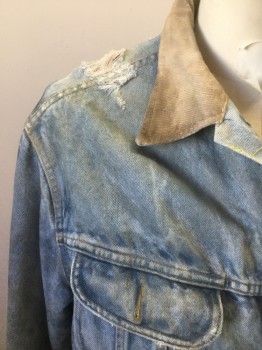 Mens, Jean Jacket, STORM RIDER LEE, Denim Blue, Lt Blue, Tan Brown, Cotton, Acrylic, Solid, 42, Light Faded Denim, Tan Collar, Button Front, 2 Pockets, Acrylic Fuzzy Gray Lining, Very Aged/Holey Throughout, Multiples,