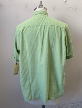 CUBAVERA, Lt Green, Green, Polyester, Heathered, Stripes - Vertical , Button Front, Collar Attached, Pleated Detail with Green Ombre Embroidery Vertical Stripes