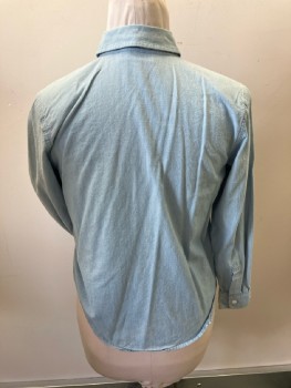 KAREN SCOTT, Light Blue Cotton, C.A., B.F., with Embroidered Bib, L/S, Shoulder Pads
