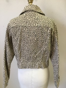 DIVIDED, Tan Brown, Black, Cotton, Animal Print, Silver Bf, Pocket Flap, Collar Attached, Cheetah Print