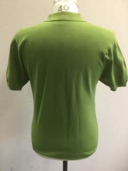 Mens, Polo Shirt, PURITAN, Lime Green, Ban-lon Synthetic, Solid, Medium, Knit, Short Sleeves, 3 Buttons,  Modeled on Size 40