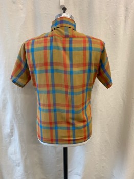 Mens, Shirt, NL, Ochre Brown-Yellow, Blue, Sky Blue, Red-Orange, Poly/Cotton, Plaid, 15, Collar Attached, Button Down Collar, Button Front, Short Sleeves