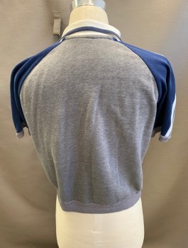 Mens, Polo Shirt, N/L, Dove Gray, Dusty White, Navy Blue, Cotton, Polyester, Color Blocking, C: 42, White C.A., 1/2 B.F., S/S, Navy Shoulder With White Stripes