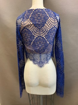Womens, Top, FOR LOVE AND LEMONS, Royal Blue, Lt Beige, Nylon, Polyester, Geometric, S, Ballet Neck, Long Sleeves, Sheer Lace Crop Top, Eyelash Edges, Beige Spandex Lining Attached to Bodice