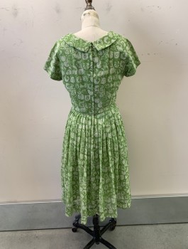 Womens, Dress, FRANKLIN, Lt Green, White, Cotton, Abstract , Floral, W26, B34, C.A., S/S, Zip Back, Gathering at Front Neck, Pleated Skirt