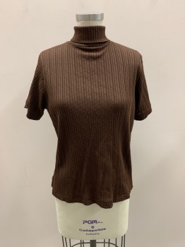 NL, Brown, Polyester, Solid, Textured Fabric, Turtleneck, S/S, Zip Back,