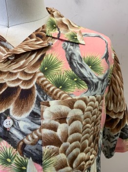 Mens, Hawaiian Shirt, STUSSY, Beige, Pink, Multi-color, Rayon, Animals, S, C.A., Button Front, S/S, 1 Pocket, Hawk On Gray Branches with Green Leaves