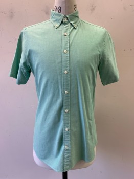Mens, Casual Shirt, Gant, Mint Green, White, Cotton, Heathered, 15 3/4, M, S/S, Button Front, C.A.,