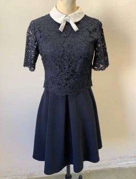 Womens, Dress, Short Sleeve, TED BAKER, Navy Blue, White, Polyester, Viscose, Solid, S, Dark Navy (Nearly Black) Lace Bodice, Short Sleeves, White Contrasting Collar with Self Bow, A-Line, Box Pleats at Waist, Knee Length, Exposed Gold Zipper in Back