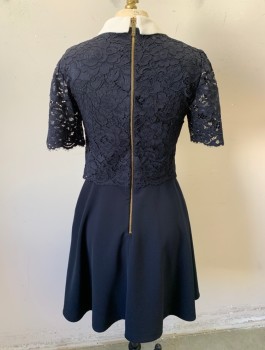 Womens, Dress, Short Sleeve, TED BAKER, Navy Blue, White, Polyester, Viscose, Solid, S, Dark Navy (Nearly Black) Lace Bodice, Short Sleeves, White Contrasting Collar with Self Bow, A-Line, Box Pleats at Waist, Knee Length, Exposed Gold Zipper in Back