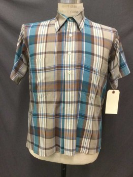 PIERRE CARDIN, Lt Brown, Brown, Teal Blue, Royal Blue, Polyester, Cotton, Plaid, Short Sleeve, Button Front, Collar Attached, 2 Pockets,