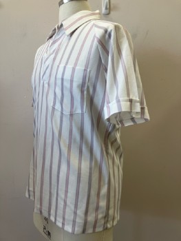Mens, Polo Shirt, DEN GIOVANI, L, White, Vertical Stripes, C.A., 1 Button Placket, S/S, 1 Pocket