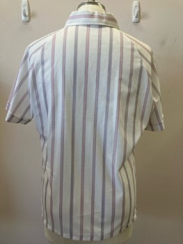 DEN GIOVANI, White, Vertical Stripes, C.A., 1 Button Placket, S/S, 1 Pocket