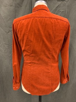 FACONNABLE, Rust Orange, Cotton, Solid, Corduroy, Button Front, Collar Attached, Long Sleeves, Button Cuff