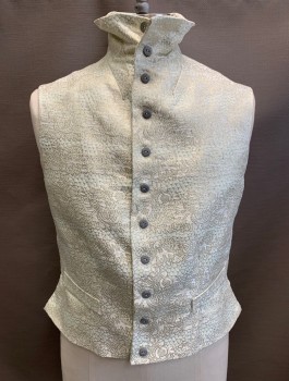 N/L, White, Lt Gray, Gold, Silk, Abstract , Brocade, Single Breasted, Stand Collar, Gray Textured Buttons, 2 Faux Welt Pockets, Lace Up in Back (Missing Laces), Regency Era
