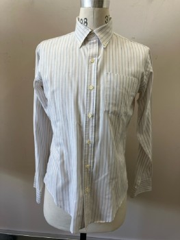 LE TIGRE, White with Alternating Group Stripe Of Light Blue/Brown & Light Blue/Navy, Btn Down Collar, B.F., 1 Pckt, L/S,