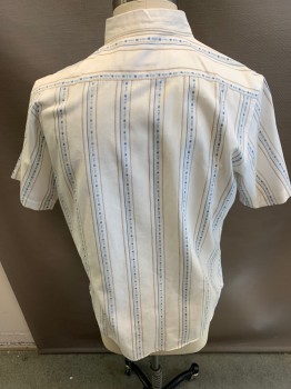 ADDRESS UNKNOWN, White, Baby Blue, Tan Brown, Cotton, Polyester, Stripes, Button Down, Collar, Stripe Shirt, with Pocket.