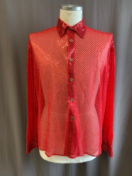 N/L, Red, Polyester, Polka Dots, C.A., Button Front, L/S, Sheer