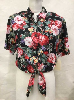 PAQUETTE, Black, Red, Off White, Green, Tan Brown, Polyester, Rayon, Floral, Black W/red,salmon,green,purple,off White,tan Roses Print, Collar Attached, Button Front, Short Sleeve, Elastic Back Hem, Self-tie At Waist Front