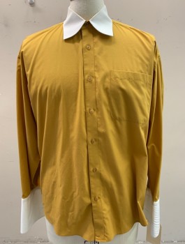 Mens, Dress Shirt, ALBERTO CELLINI, Goldenrod Yellow, Antique White, Poly/Cotton, Solid, 32-3, 15.5, Contrast Collar & French Cuffs, 1 Pocket, L/S, Button Front,