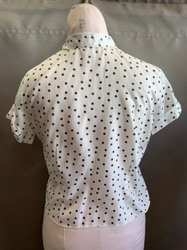 Womens, Blouse, NL, White, Black, Polyester, Polka Dots, B: 38, Collar Attached, Button Front, Short Sleeves