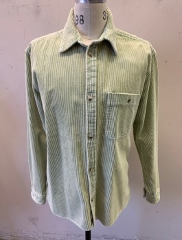 Mens, Casual Shirt, URBAN OUTFITTERS, Sea Foam Green, Cotton, Solid, M, L/S, Button Front, Corduroy, Chest Pocket