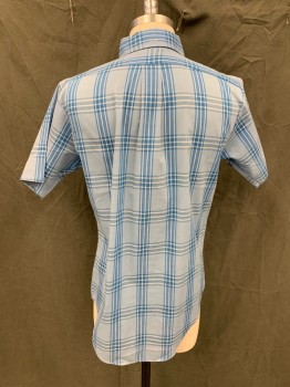 CAMPUS, Blue, Baby Blue, White, Cotton, Plaid, Button Front, Collar Attached, Button Down Collar, 1 Pocket, Short Sleeves,
